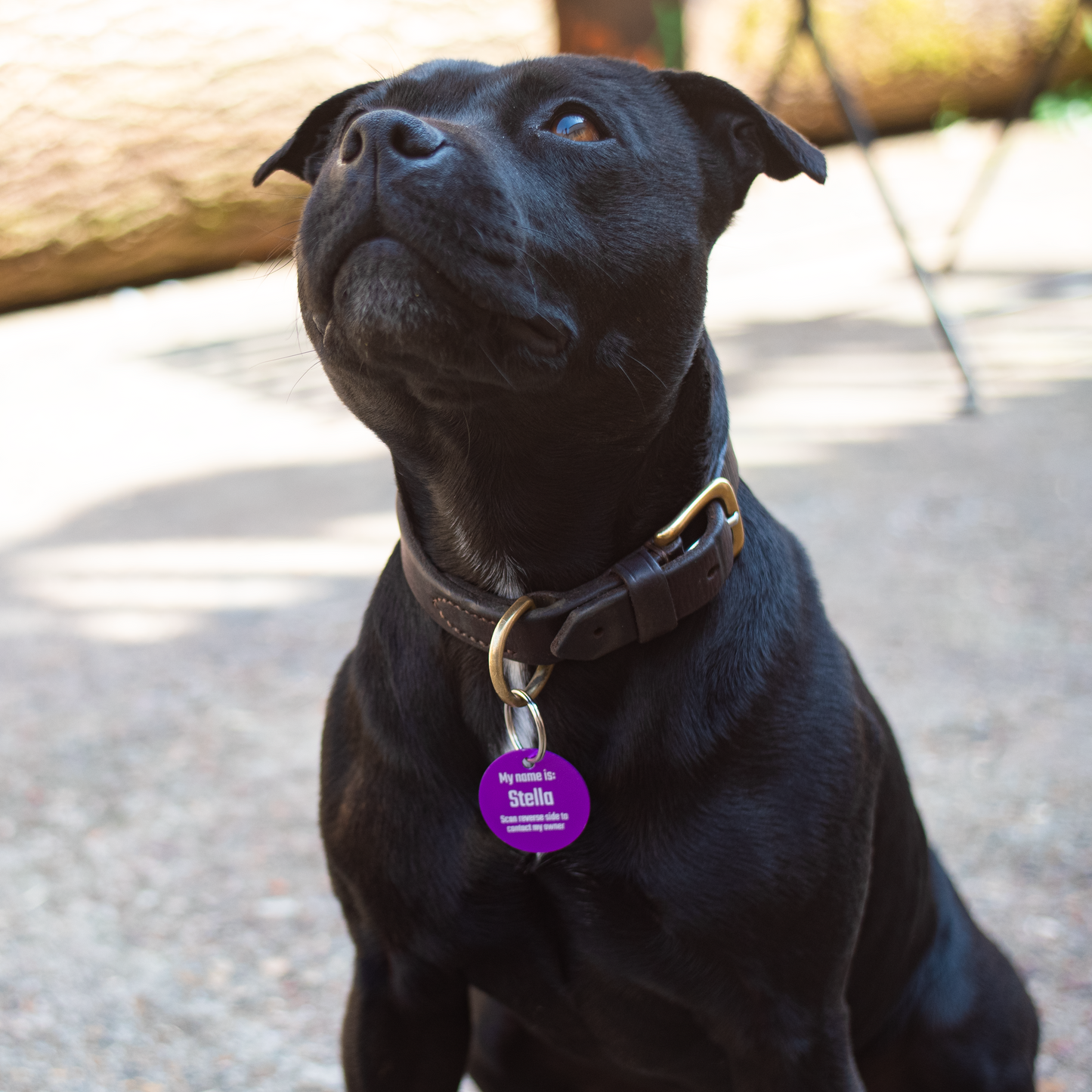 Round aluminium pet tag